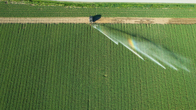 Sprinkler system irrigating a vast soybean field top down aerial