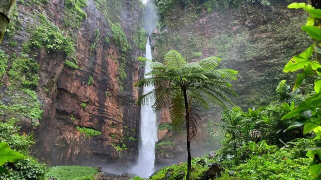 Kapas Biru waterfall surrounded by lush tropical rainforest and tree ferns in East Java, Indonesia. Scenic jungle landscape with dramatic cascade and mist in Southeast Asia.