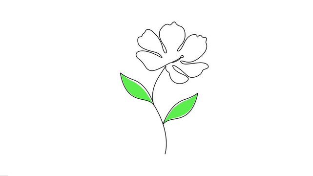 Animated blue line art flowers blooming in a continuous loop. 