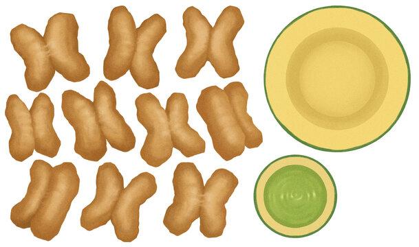Thai Patongko (Chinese Doughnuts) Illustration