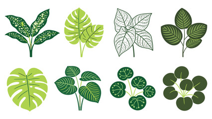 A vibrant set of various tropical foliage elements, creating a botanical collection perfect for diverse design projects and natural themes © Ube