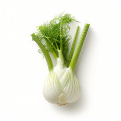 Fresh fennel bulb with green stems isolated on white background macro food photography
