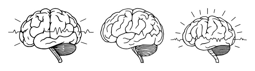 Fototapeta premium Brain set with continuous line drawing of a minimalist brain with electrical pulses, cognitive enhancement theme featuring thin line, white background and illustration vector