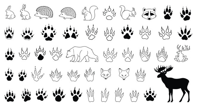 Large collection of various animal footprints and tracks alongside silhouettes of a rabbit, bear, fox, and moose in a clean black and white style.