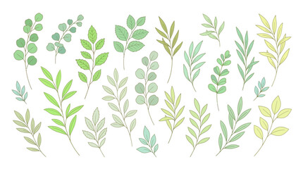 Obraz premium Watercolor botanical leaf pattern featuring pastel green and yellow foliage, decorative nature illustration for design, textile, branding, and backgrounds