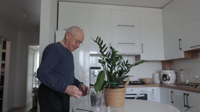Elderly man watering houseplants in kitchen
