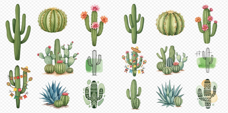 Collection of various watercolor cactus plants and succulents with flowers and decorative elements on a transparent background.