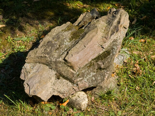 Obraz premium Close-up of fossilized wood from the Paleogene period, showing a large, angular piece with a weathered, layered texture and a brownish-gray color. The surface is partially covered in moss and lichen.