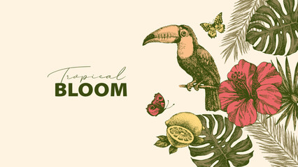 Tropical background with exotic vibe. Toucan, tropical leaves, hibiscus, lemon, butterflies. Coffee, restaurant, food packaging, event decor concept. Hand drawn retro sketch vector illustration. © pim