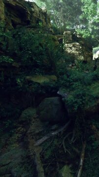 A small stream runs over rocks in a dense forest. Sunlight filters through the trees, creating shadows on the wet stones. Plants and roots surround the rocks, showing signs of life.