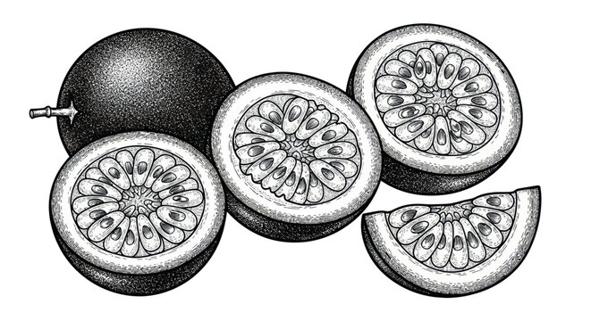 Passion Fruit Illustration: Whole, Halved, and Sliced Exotic Fruit