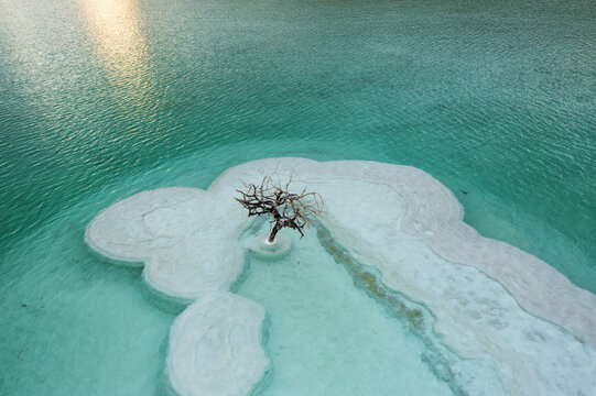 Aerial view of a solitary tree standing on a salt formation in the turquoise waters of the Dead Sea, Arad, South District, Israel.