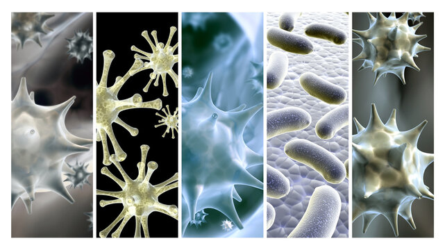 Collection banners with pathogenic bacterias and viruses. 3d virus under microscope. Fast multiplication of bacteria. Infection and microbe. Rapid bacterial growth. Infection and microbial activity