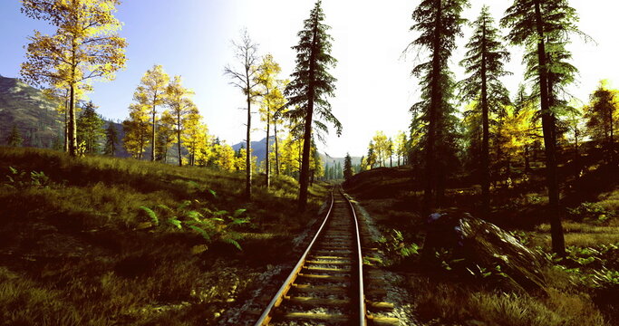 curving rails through sunlit pine glade, gentle bend with dappled light, rustic ballast and soft shadows, serene countryside memory and slow pace