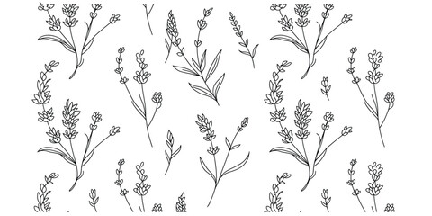 Hand drawn lavender botanical illustration pattern on a plain white background for design. © JoyChandra