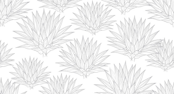 Agave Plant Pattern Drawing, Minimalist Botanical Repeat, Vector Outline Illustration