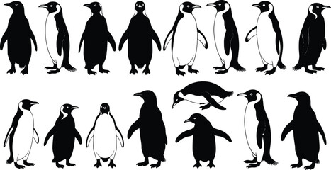 Penguin silhouette set collection, antarctic penguin poses vector illustration bundle isolated wildlife bird silhouettes for design © Jakiatur
