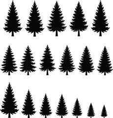 Fototapeta premium Pine tree silhouette collection, evergreen fir trees vector set isolated forest nature landscape illustration bundle