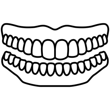 Upper and Lower Dentures. Teeth smile vector icon