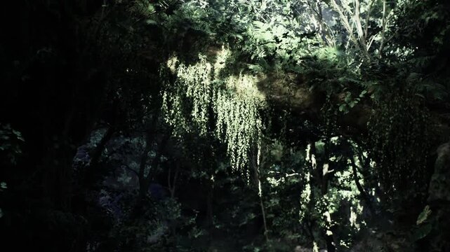 Mossy grotto canopy drenched in shadow dense hanging vines, glistening damp limestone, filtered light creating emerald highlights, atmospheric mystery suitable