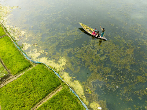 Aerial view of a small boat carrying people glides across the algae-filled river near vibrant green fields, creating a striking contrast of colors, Rajbari, Bangladesh.