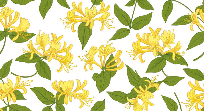 Yellow Honeysuckle Flowers and Green Leaves Pattern on White Background