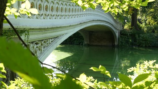 New York City Central Park nature oasis. Bow Bridge and lake in summer day, United States. Pond water and greenery in morning light. Autumn fall leaves and Manhattan architecture landmark of NYC, USA.