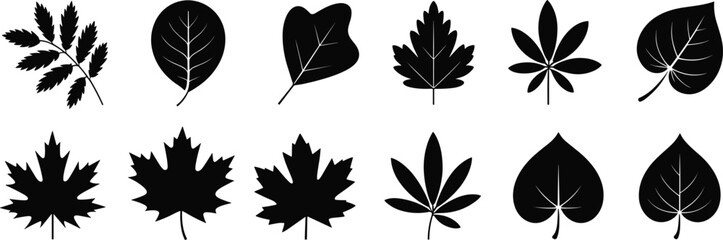 Collection of tree leaf silhouettes, black botanical foliage set, maple and natural leaves shapes, isolated plant vector icons bundle © LT studio
