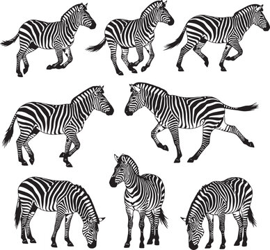 Set of 9 Running Zebra Vector Illustrations in Flat Cartoon Style for Kids Design