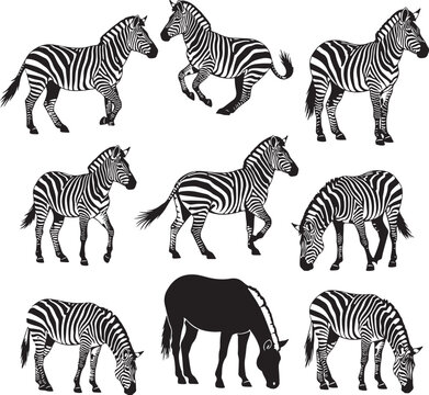 Set of 9 Hand-Drawn Black and White Zebra Silhouettes Running and Standing Vector Illustration