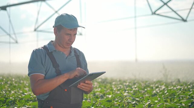 Farmer uses tablet for smart agriculture control. Worker checks field with tablet. Agriculture expert manages irrigation. Smart farmer holding tablet monitors growth. Agriculture technology used.