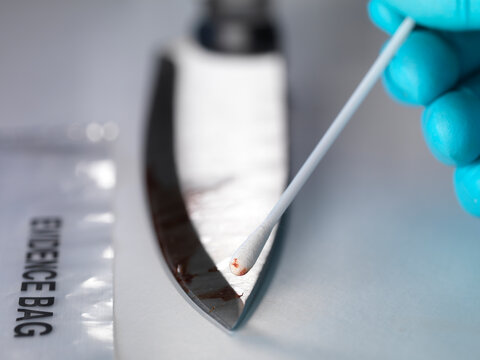 Forensic scientist taking DNA evidence from a blood smeared knife