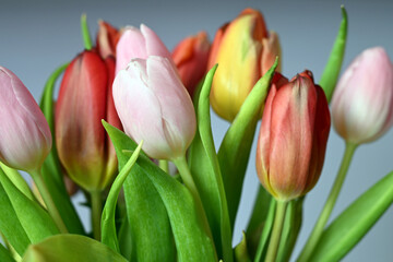 Obraz premium bukiet kolorowych tulipanów w wazonie na stole