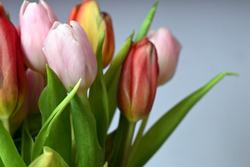 bukiet kolorowych tulipanów w wazonie na stole © Piotr