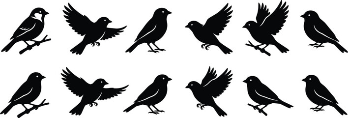 Naklejka premium Flat vector illustration of bird silhouettes, perched and flying poses, ornithology design, nature collection, wildlife outline, decorative black shapes