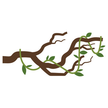 Hanging Junggle Leaves Illustration