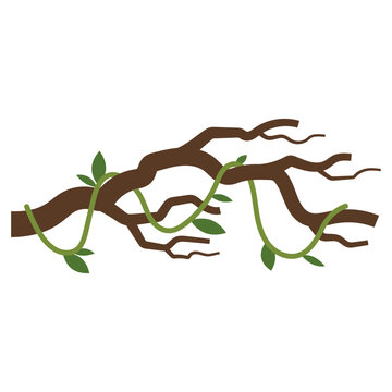 Hanging Junggle Leaves Illustration