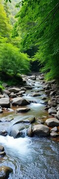 A winding stream flows over smooth stones through a lush green forest ,  creek,  peaceful