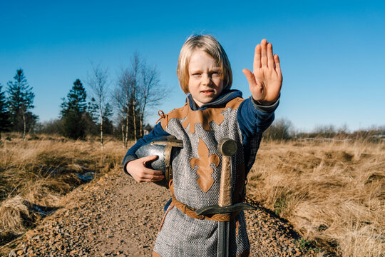 Portrait of little boy wearing knight costume in nature