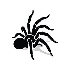 Eerie black spider illustration with a looming presence