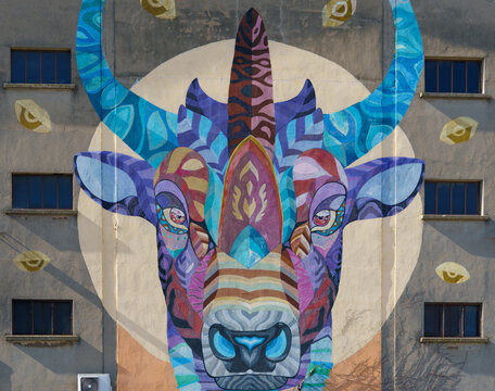 Street art taureau, mur d'un b&acirc;timent, P&eacute;rols, H&eacute;rault, France