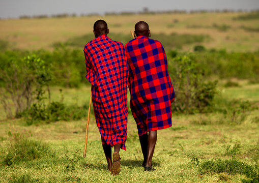 Rear view of Maasai tribe men, Rift Valley Province, Maasai Mara, Kenya