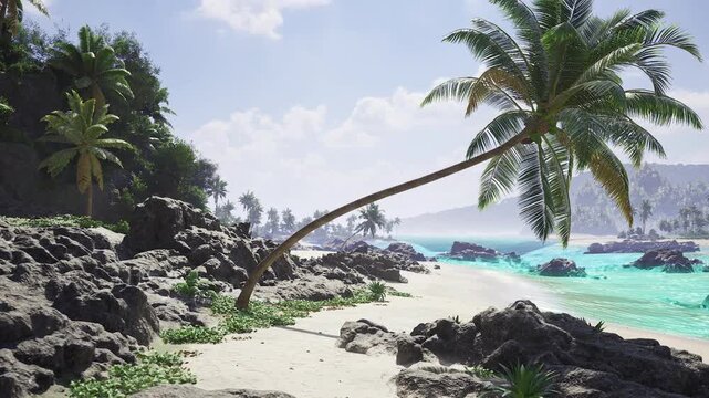 Exploring tidepools and lush palms along volcanic rocky coastlines. Discovering crystal waters and vibrant palms nestled among rugged volcanic formations