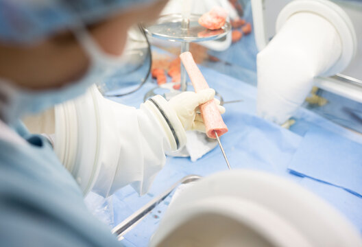 Scientist processing human tissue in insulator laboratory