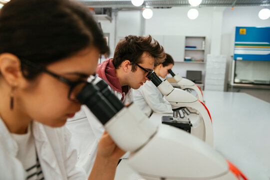 Laboratory technicians using microscopes in lab