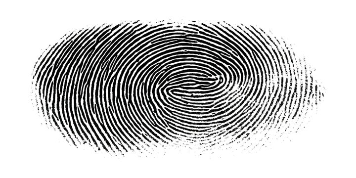 Grunge fingerprint texture abstract black and white thumbprint pattern. vintage distressed ink mark forensic identification retro grungy background design.