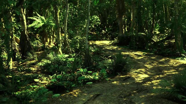 Lush fern understory beside winding path, dense low vegetation, cool shaded ground, textured fronds and humid microclimate, rich biodiversity feel for botanical
