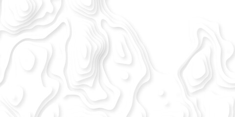 Abstract background vector Abstract wavy line 3d paper cut white background. Abstract pattern with lines. Abstract sea map geographic contour map and topographic contours map background. © armans