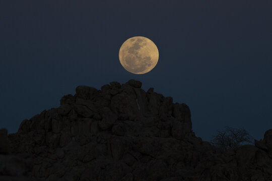 View of a luminous full moon hanging over the dark silhouette of jagged rocks against the deep blue twilight sky, Brandberg, Erongo Region, Namibia.