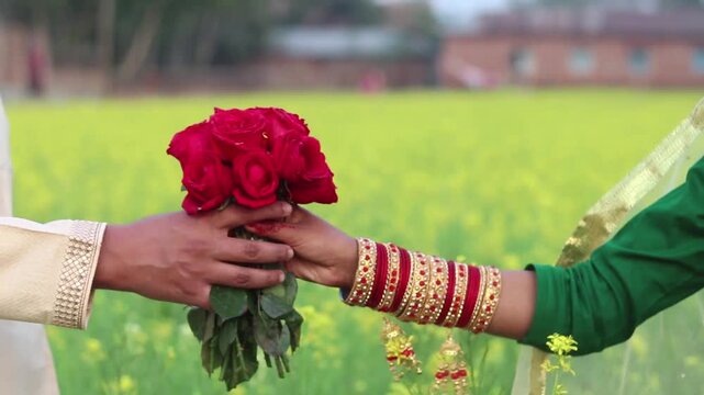lose up of a romantic gesture showing a man presenting a vibrant bouquet of deep red roses to a woman wearing traditional bangles outdoors in a field